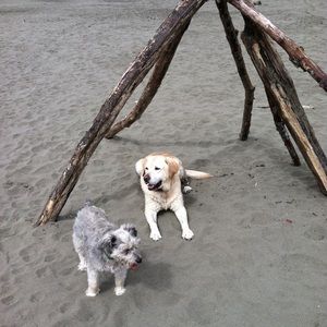 Meet your Posher, Deb